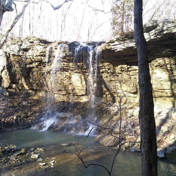 Near Waterfall Overlook Trail