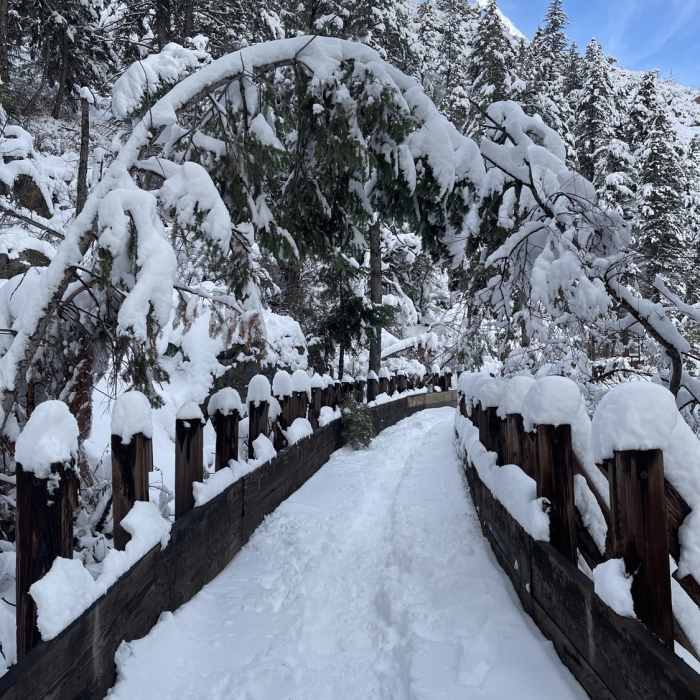Near Peaks to Plains Trail