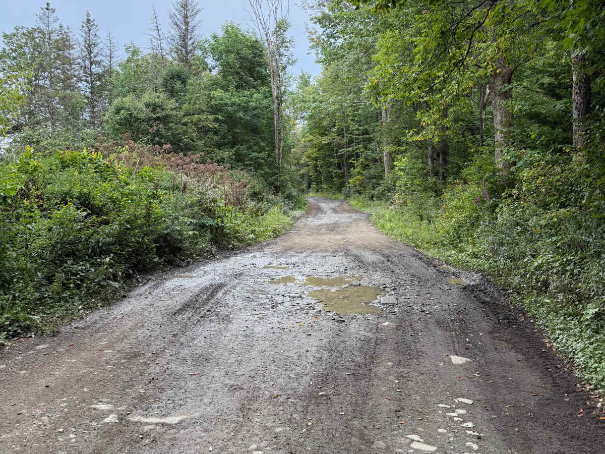 Rodgers Crossing Road photo 3