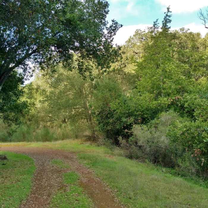 Near Bay Area Ridge Trail: Almaden Quicksilver County Park