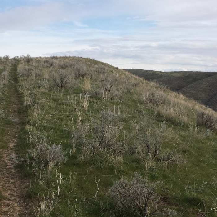Near Lydle Gulch Trail