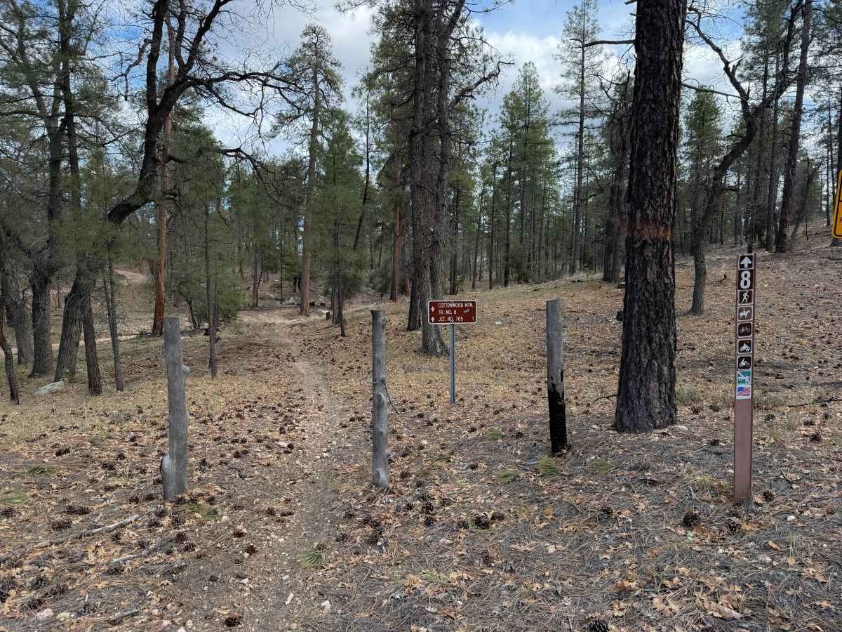 Cottonwood Trail #8 (ATV)  photo 4