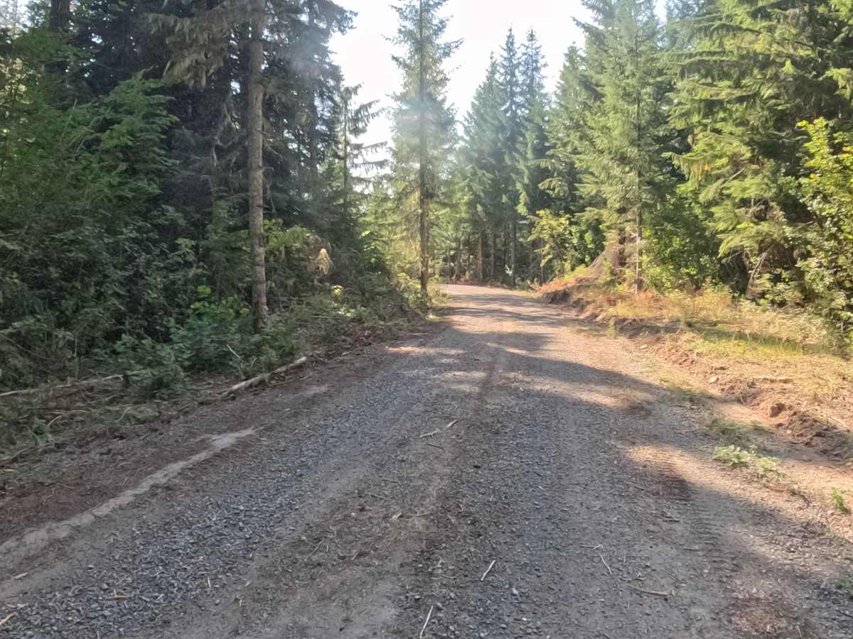Parish Ridge Road - FS 2266350 trail photo