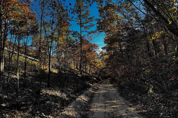 WMA Road 1245