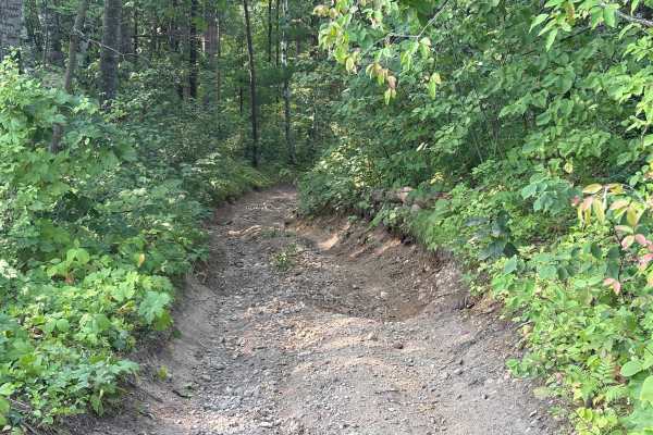 Forest Road 0425