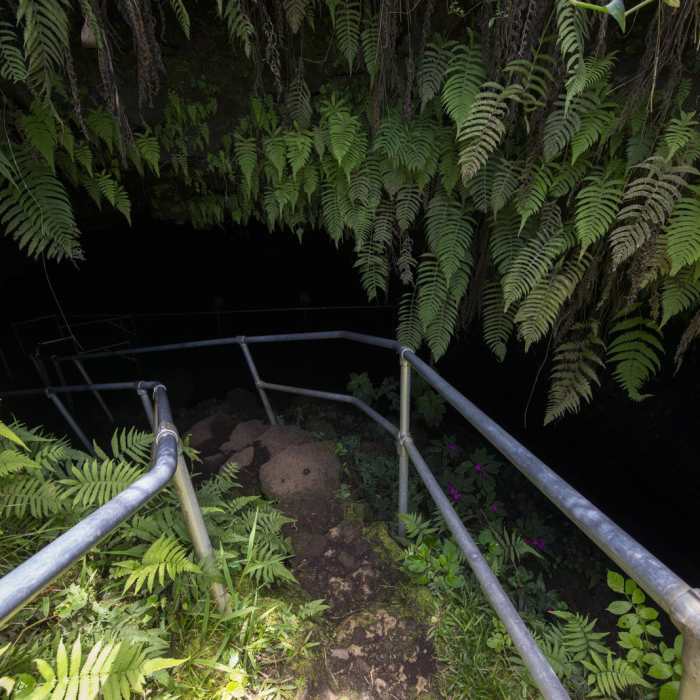 Near Ka'eleku Cave (Hana Lava Tube) Near Ka'eleku Cave (Hana Lava Tube)