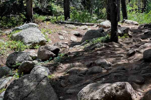 Lily Pond Trail