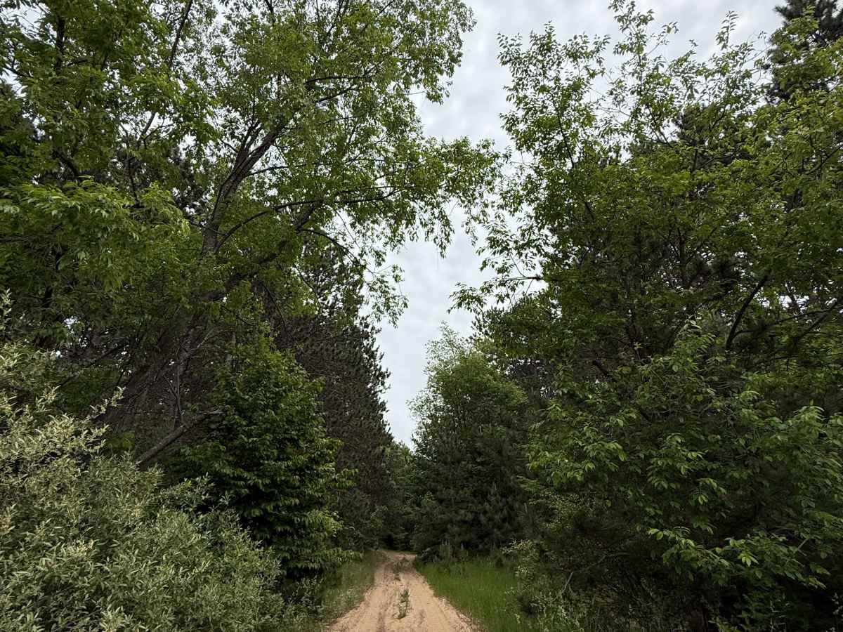 Samels Trail photo 3