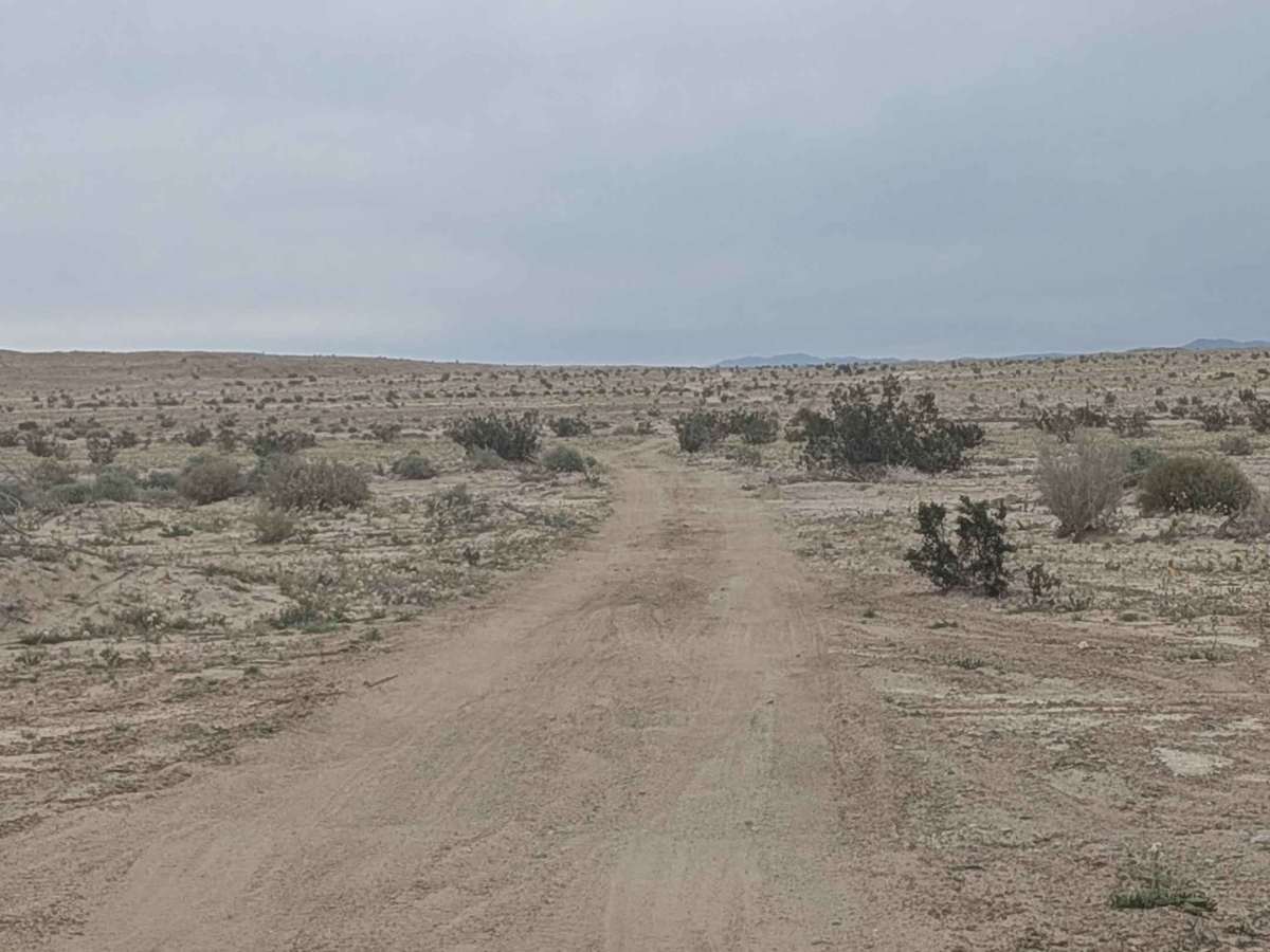 Textbook Trail photo 2
