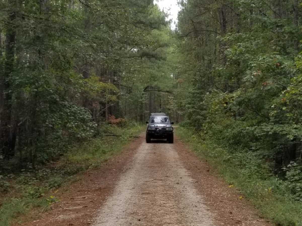 Enoree River Southside Trail System photo 4