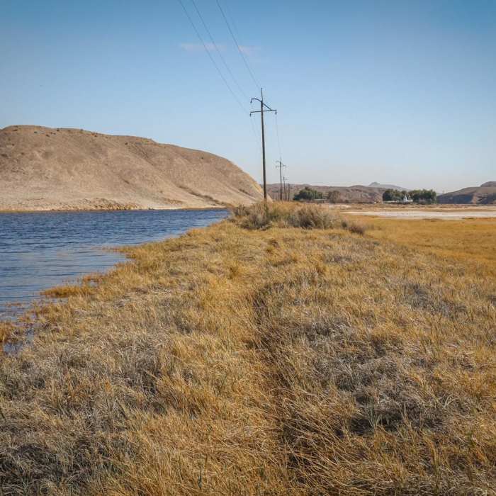 Near Tidewater & Tonopah Trail