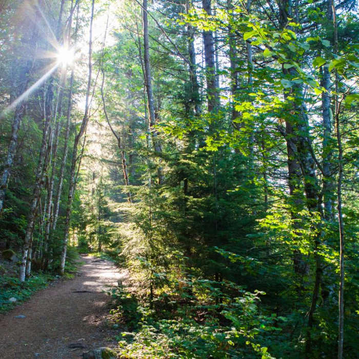 Near Bandera Mountain Hike