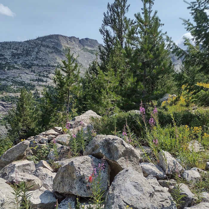 Near Fault Lake Trail #59