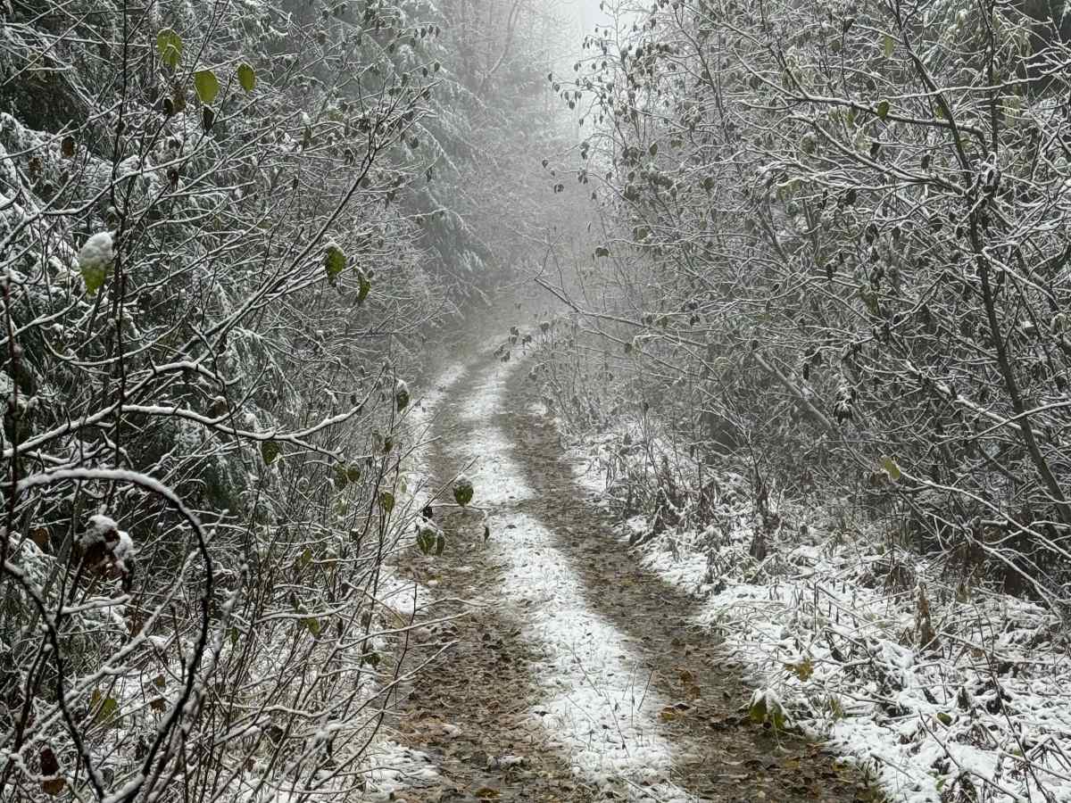 Bornite Mountain Trail photo 6