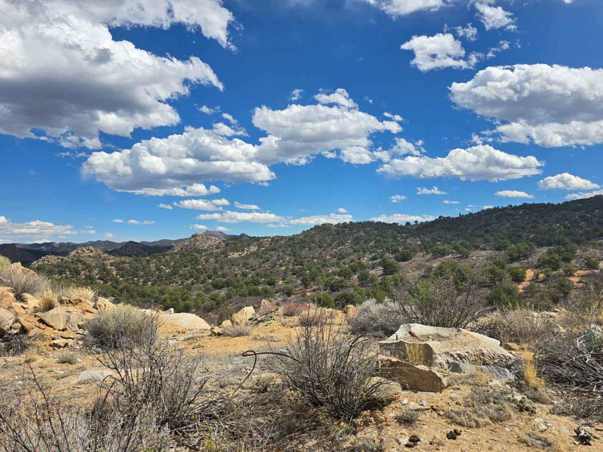 BLM 6108 photo 5