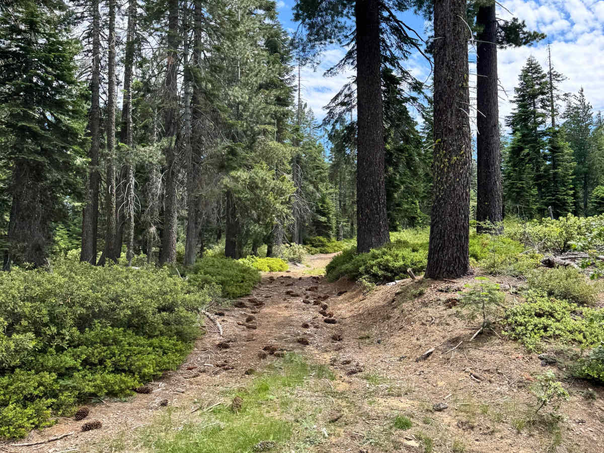 FS 0043-001 trail photo