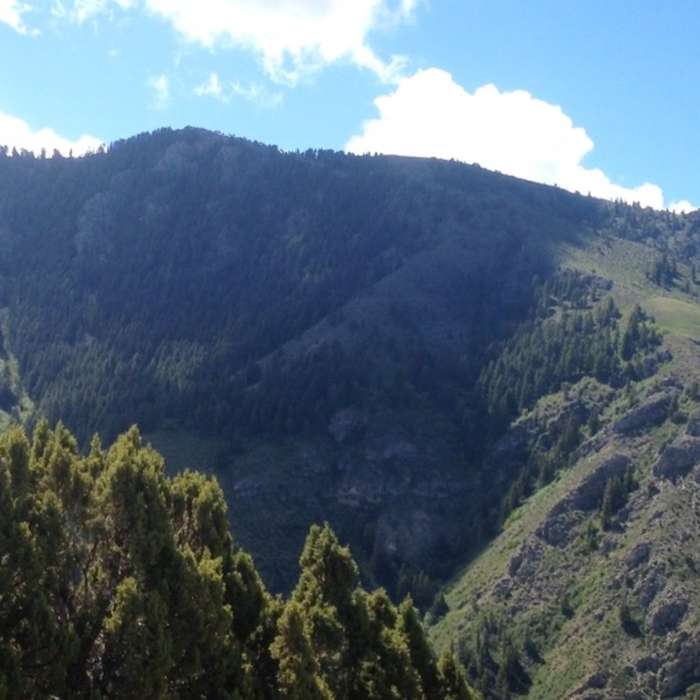 Beirdneau Paek Near Ridgeline Trail