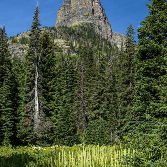 Near Upper Two Medicine Lake Hike