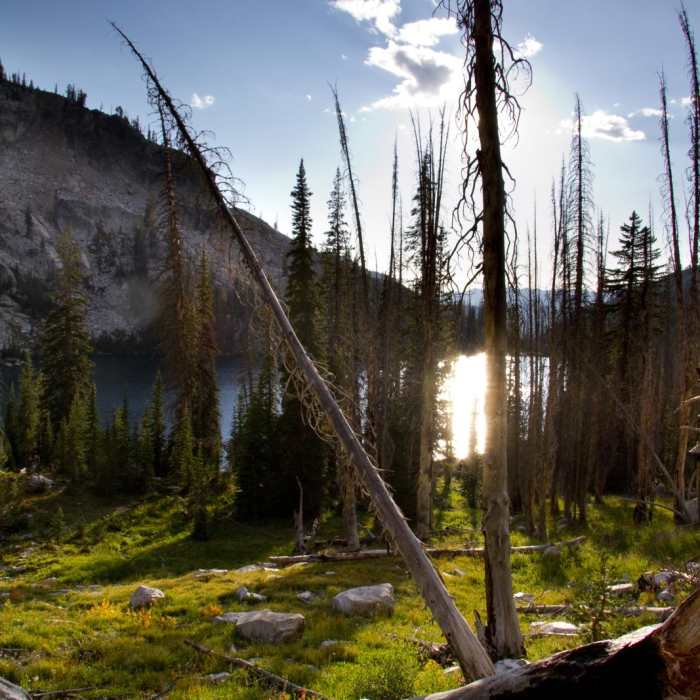 Near Pats Lake, Arrowhead Lake, + Queens River Divide