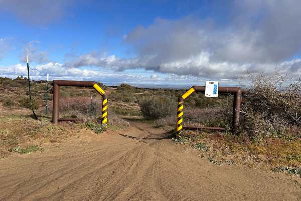 Manzanita Wash 