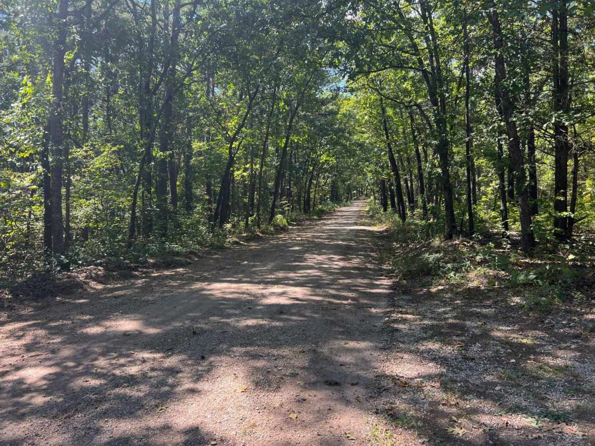 Piney Ridge photo 3