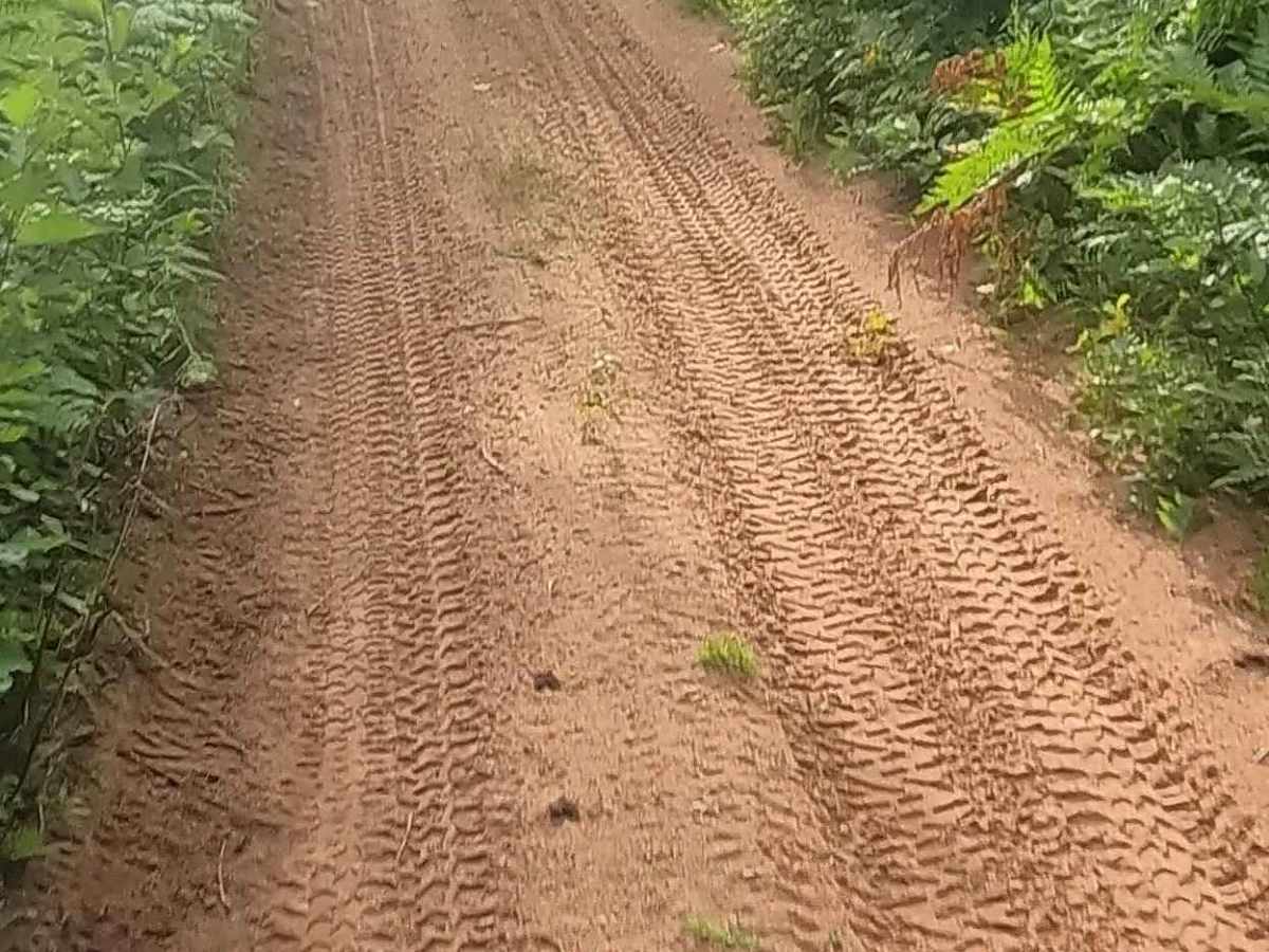 Aetna Mine Road photo 4