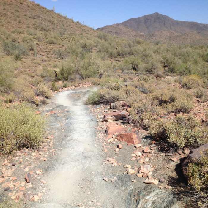 Near Slate Trail