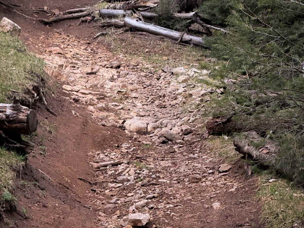 1000 Mile Canyon - FS 9216  photo 5
