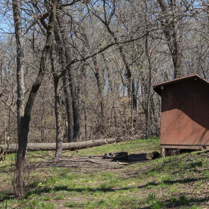 Near Hardwood Trail