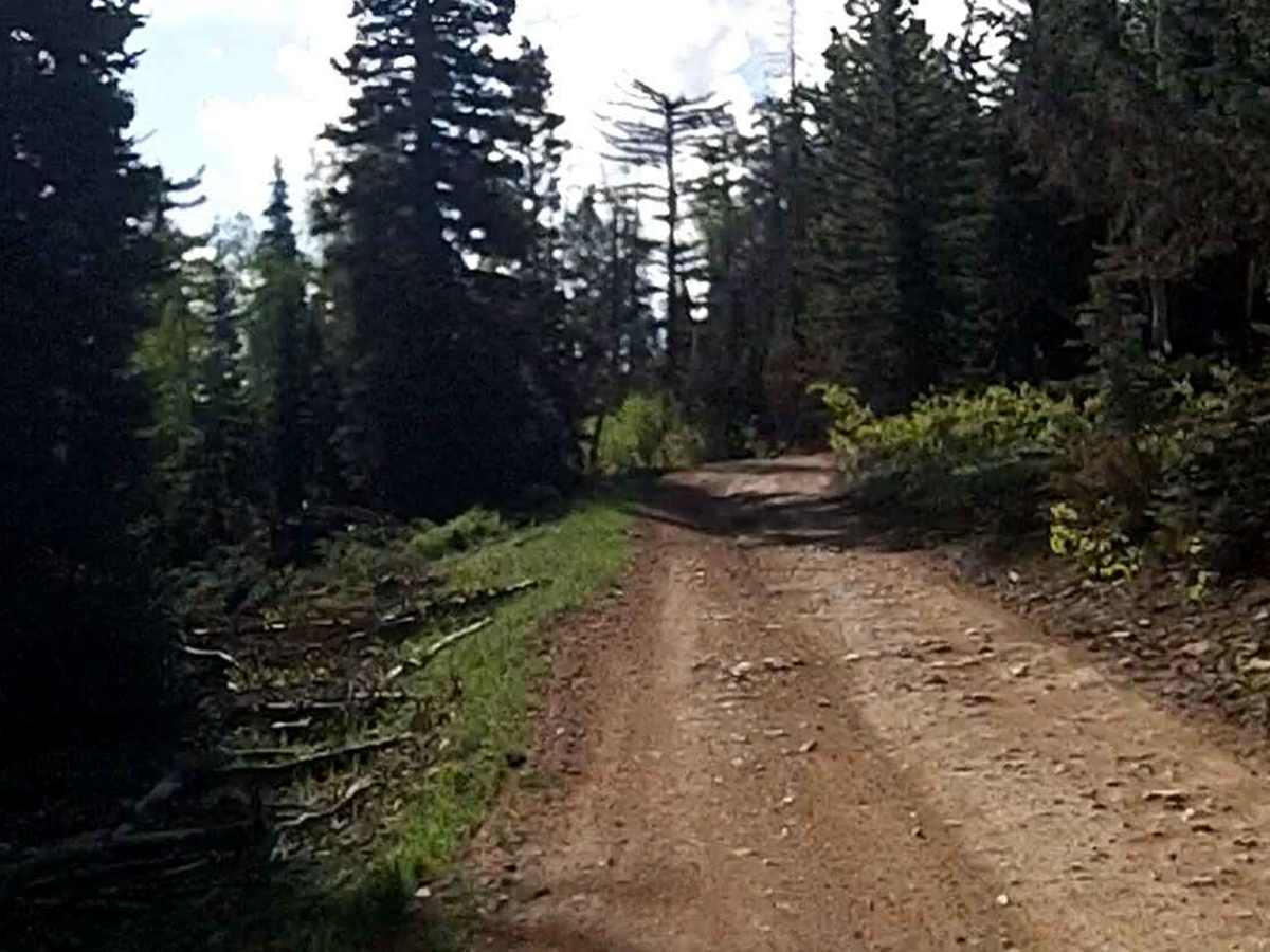 Sage Valley Road photo 2