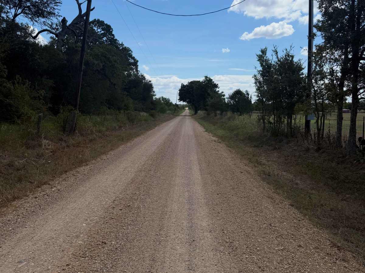 County Road 250 Loop photo 3