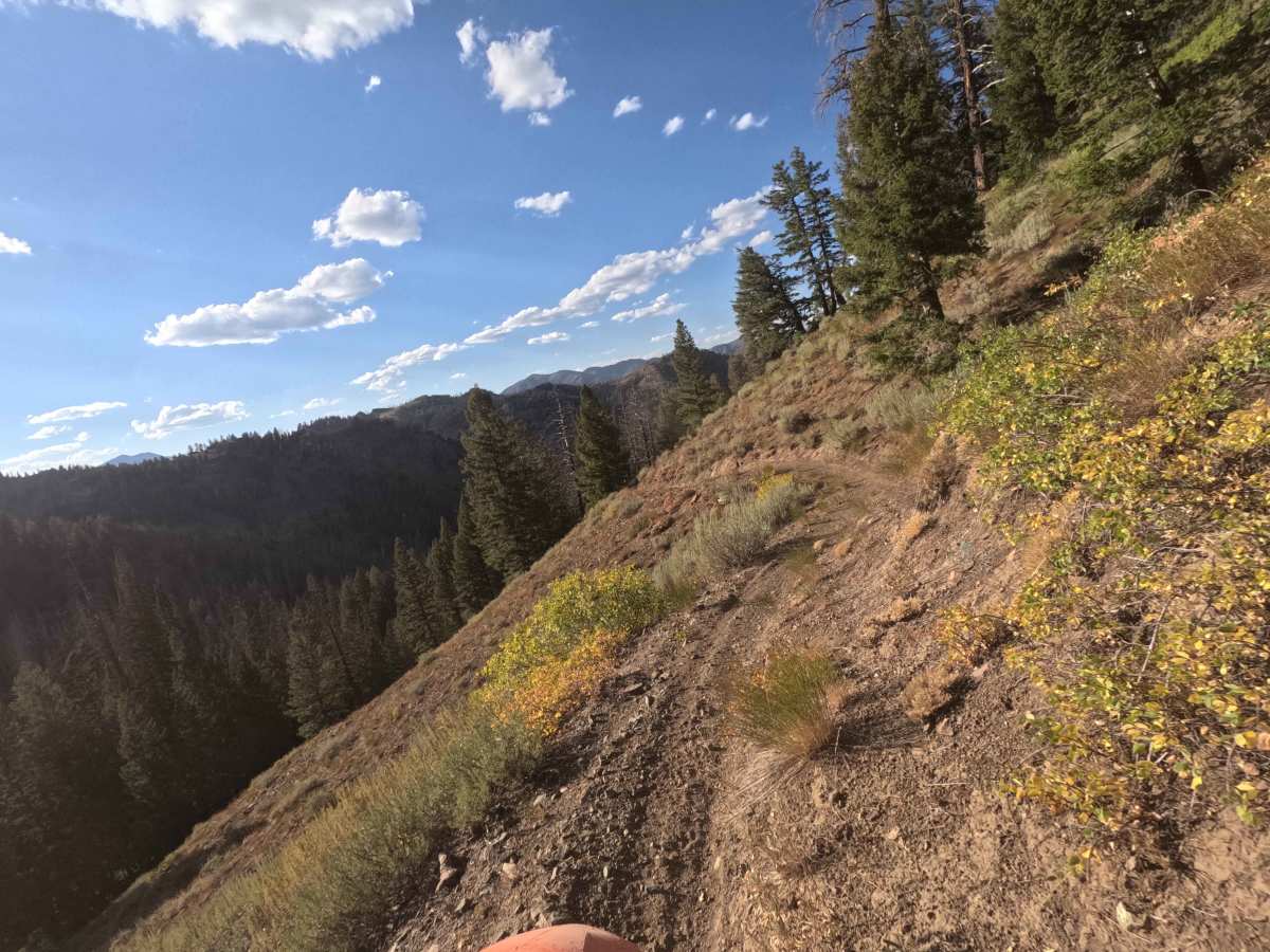 Warfield-South Fork - FS 7151 photo 2