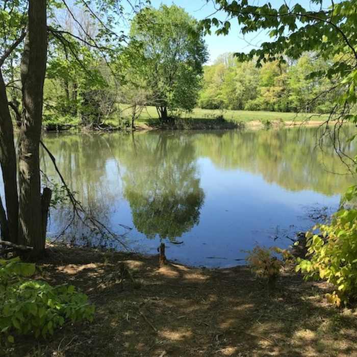 Near Doctor's Creek Trail