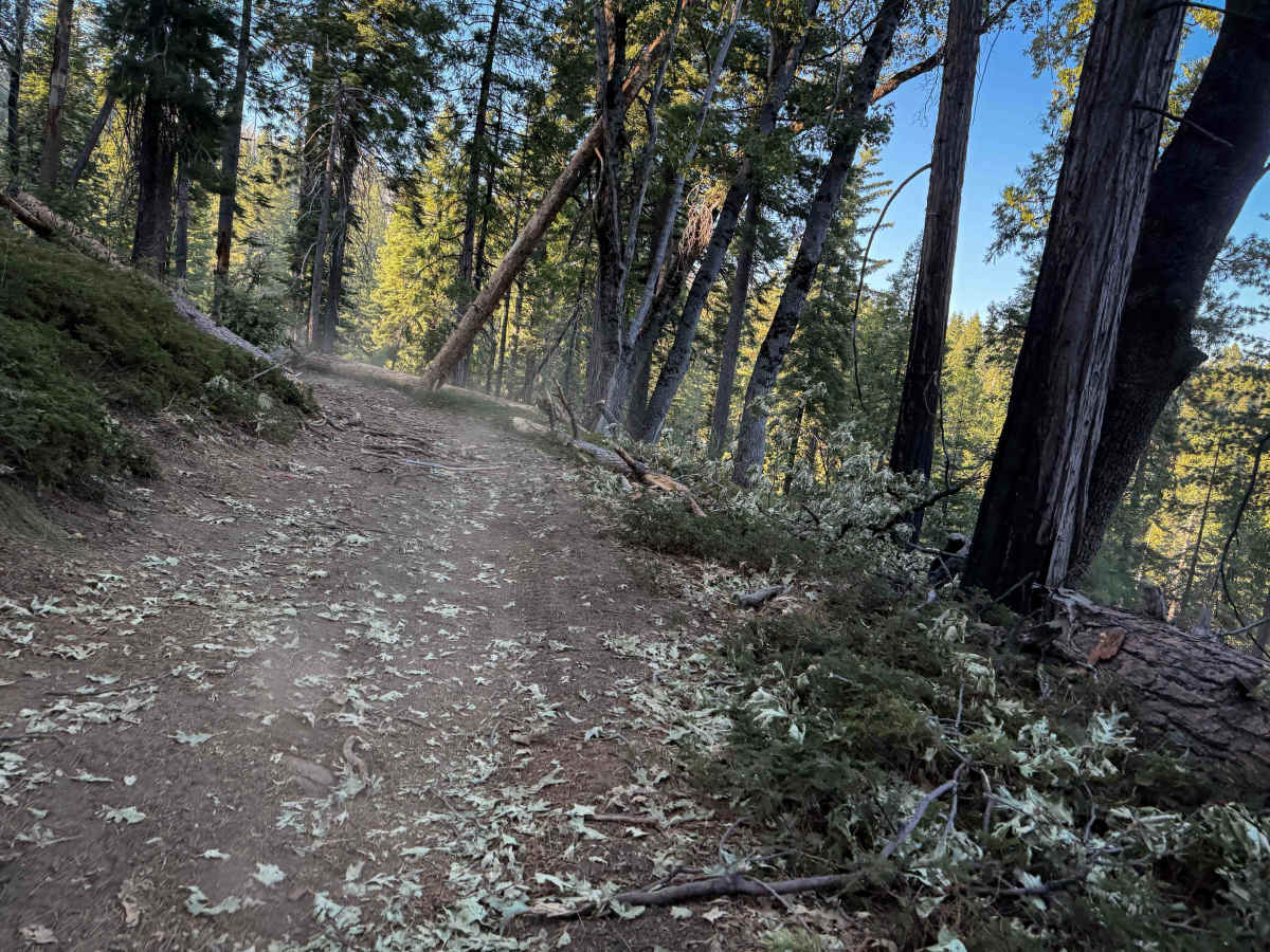 21E244 photo 5