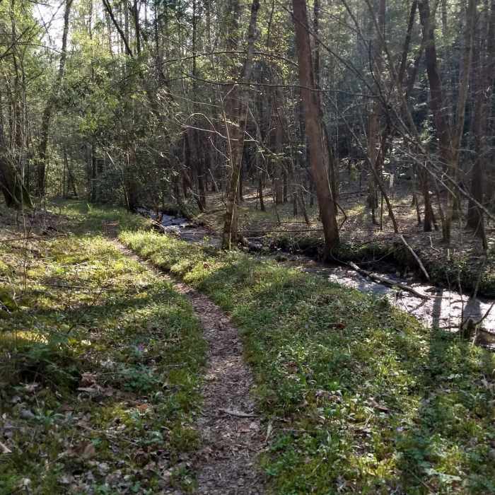 Near Old Settlers Trail