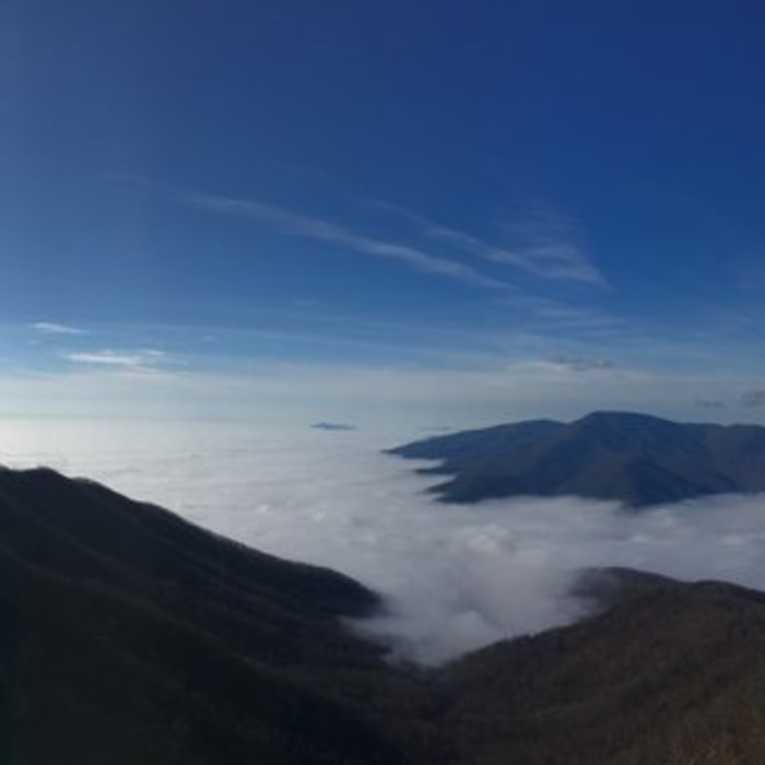 Near Three Ridges Loop Trail