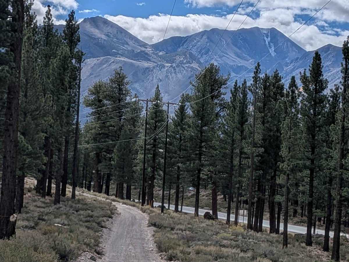 FS 3S126 trail photo