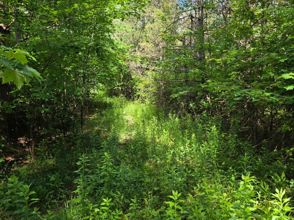Single Track E photo 4