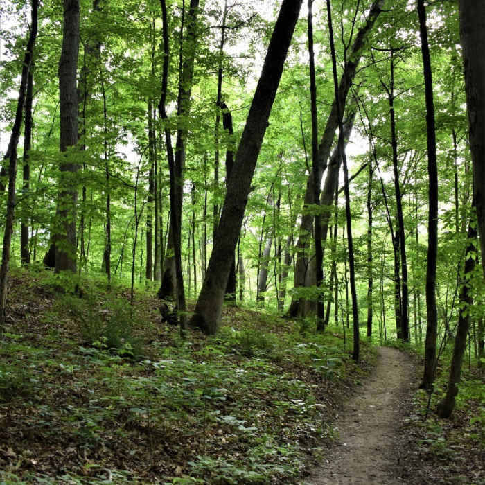 Seidman Park" courtesy of Kent County Parks Department. Near Seidman Park Outside Loop
