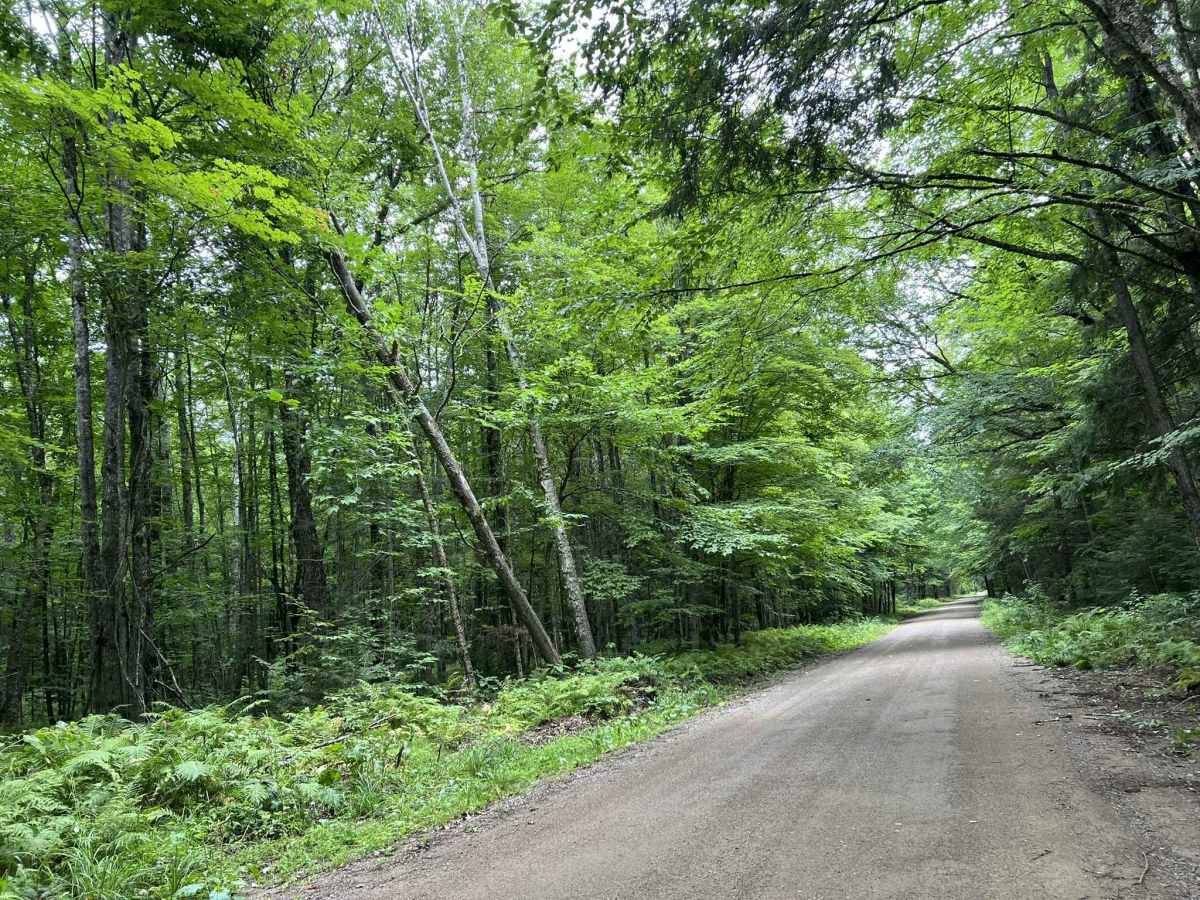 Experimental Road - FS 2184 photo 6