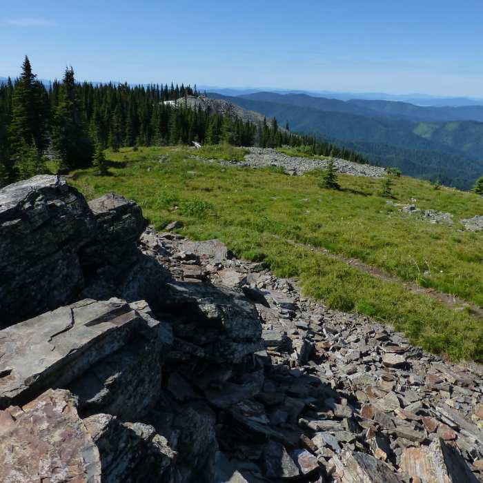 Near Chilco Mountain Trail #14