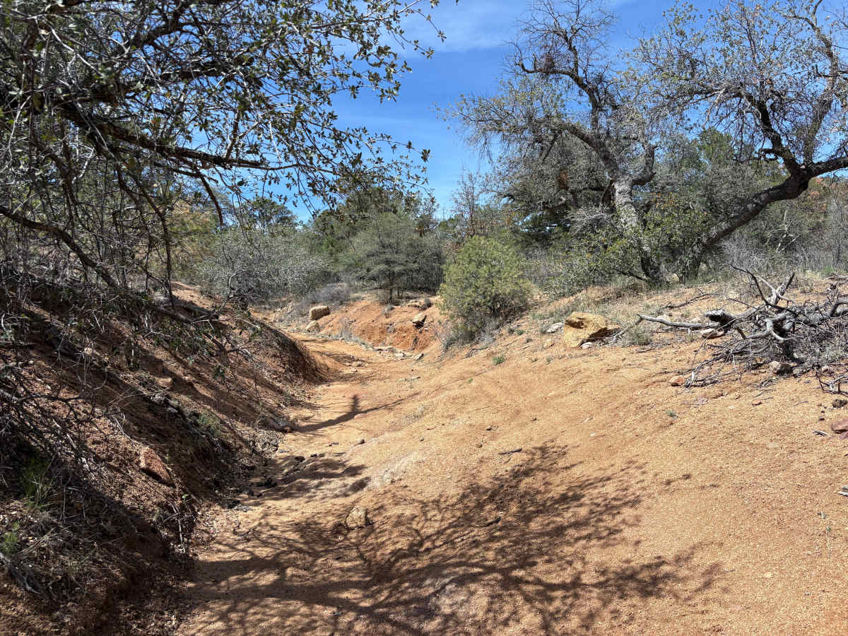 Trail 902 photo 5