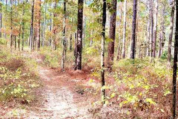 Hickman Trail