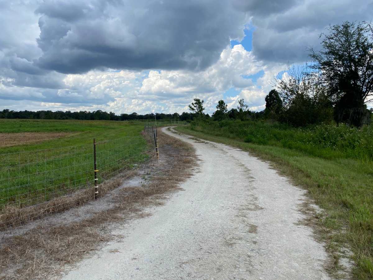 Dove Field Road photo 6