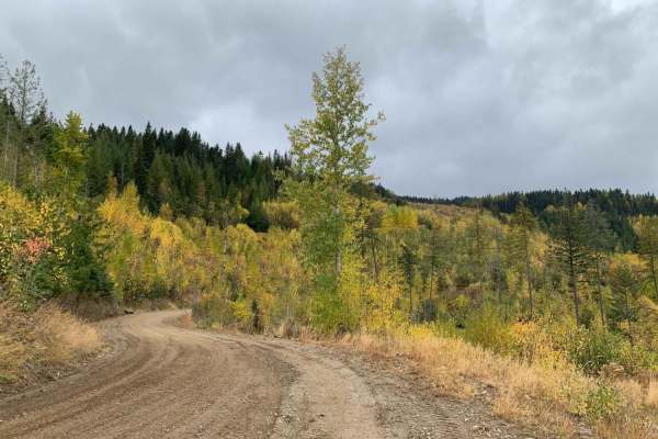 Mt Spokane via IEP Backroads