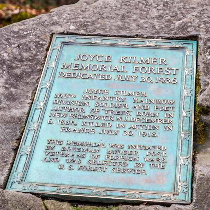 Near Joyce Kilmer Memorial Forest Loop Near Joyce Kilmer Memorial Forest Loop