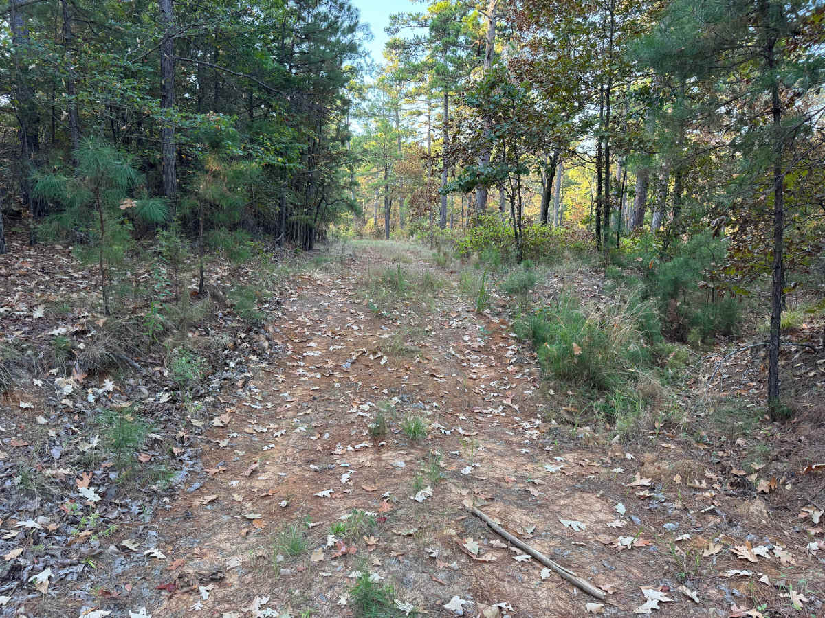 Corley A photo 4