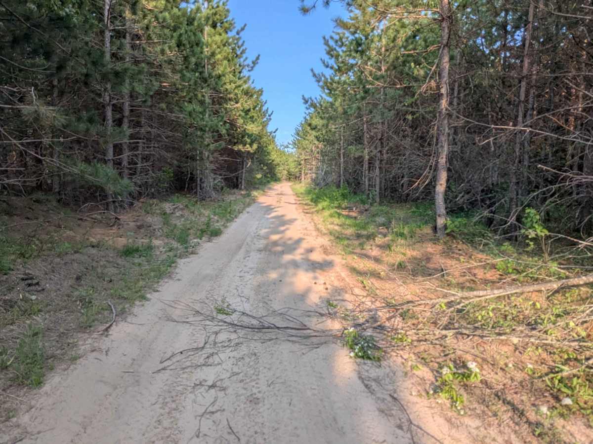 Norton Camp Truck Trail trail photo