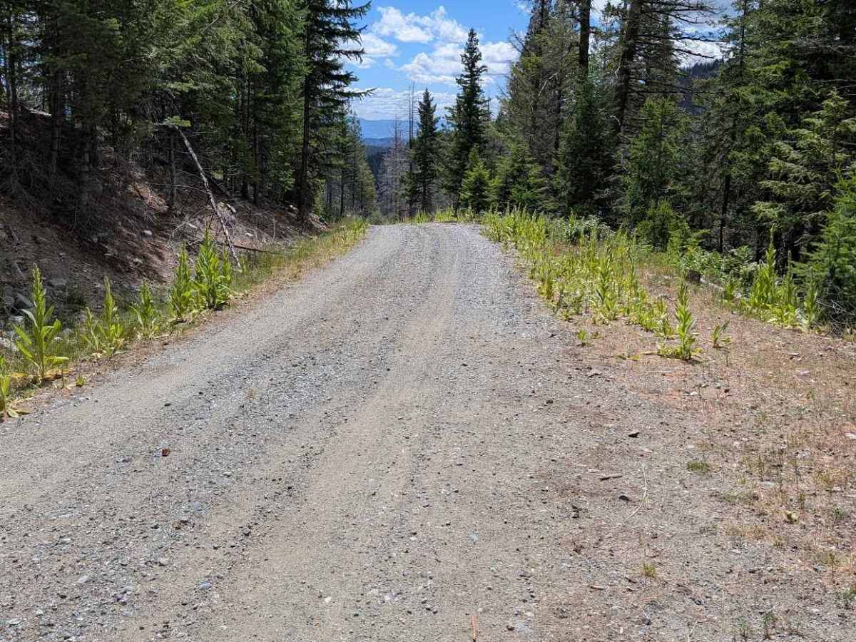 Wickiup Creek Road photo 2