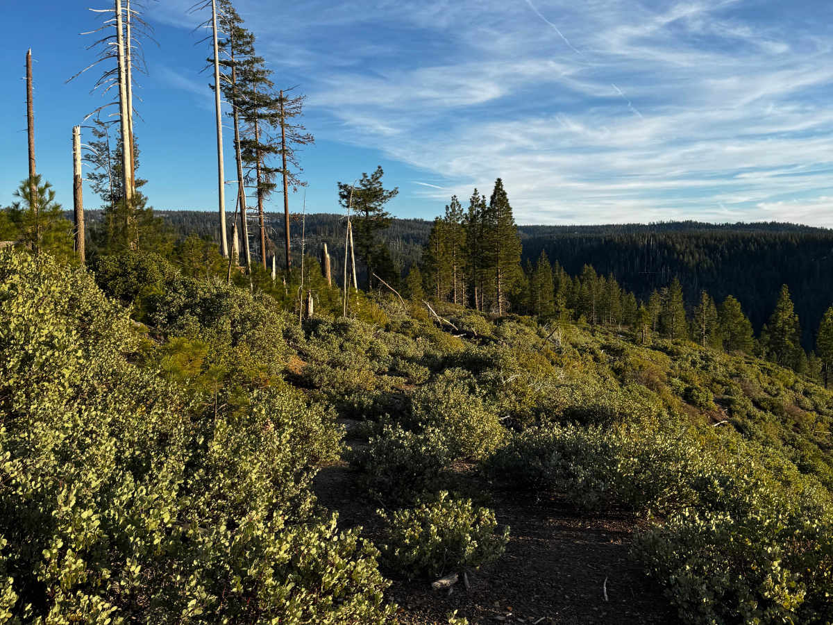 Secret Ridge photo 4